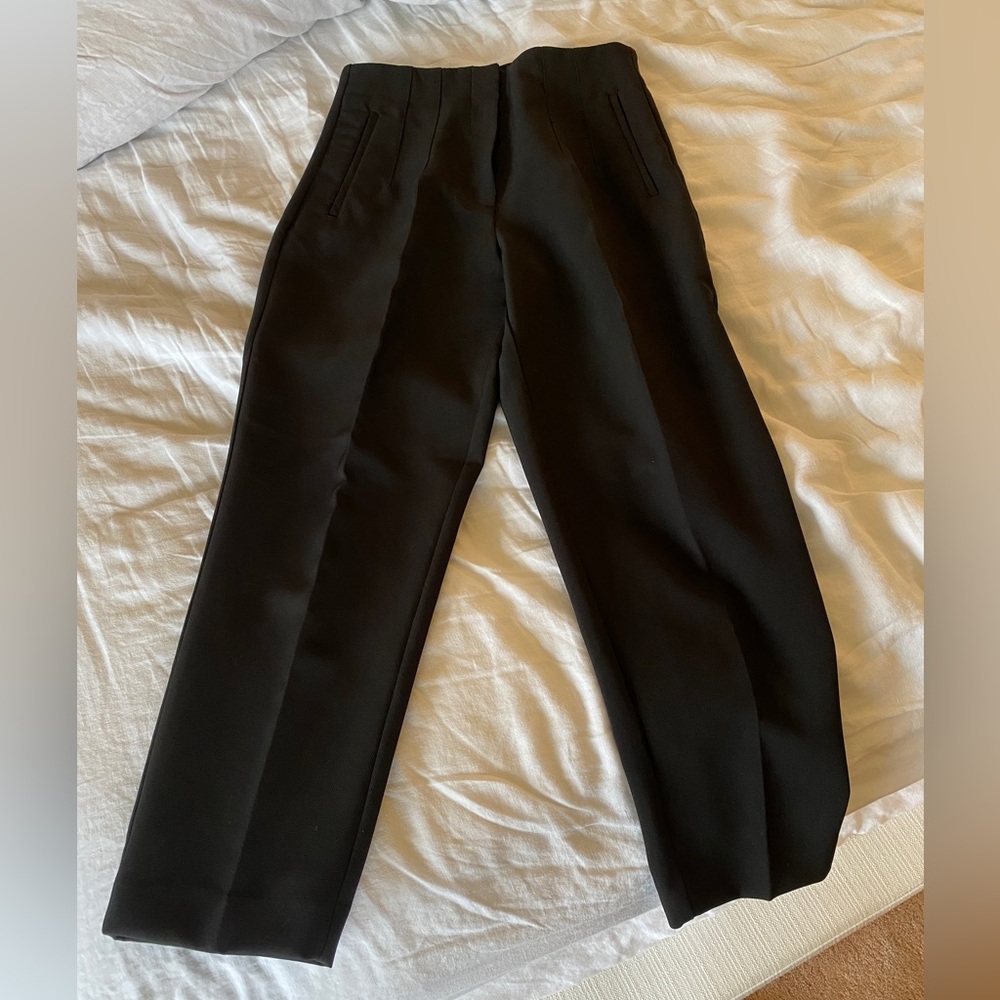 Zara High Waisted Pleated Trousers
